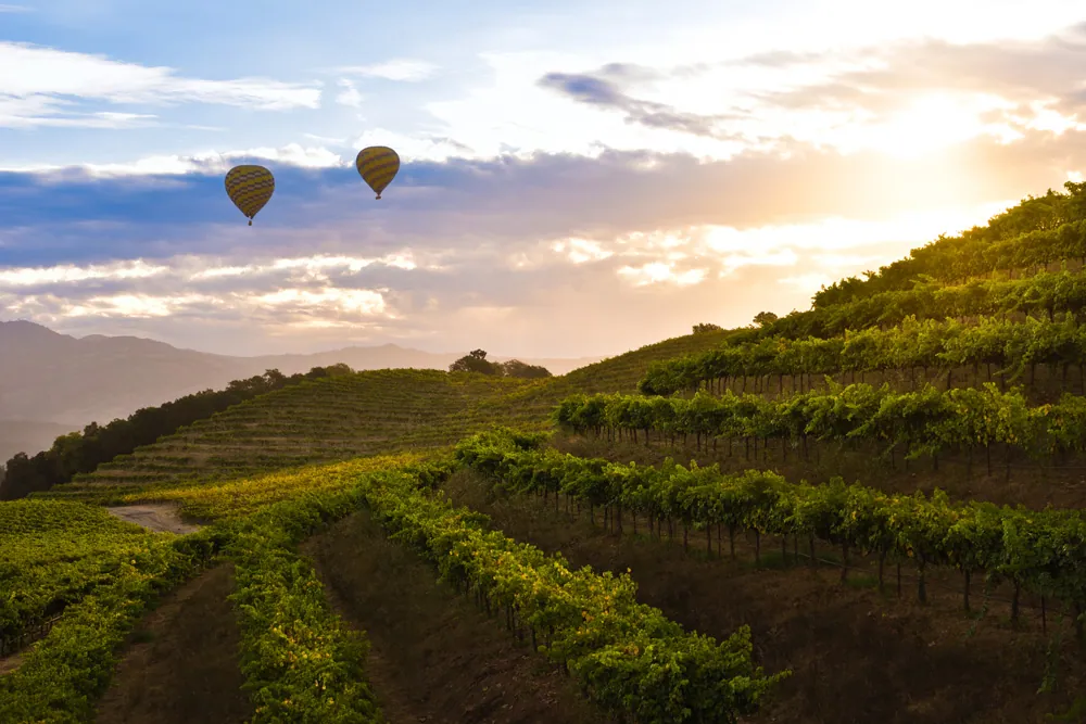 Napa Valley vineyard landscape with hot air balloons